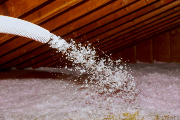 Best Insulation Maintenance and Repair in Natchez, MS